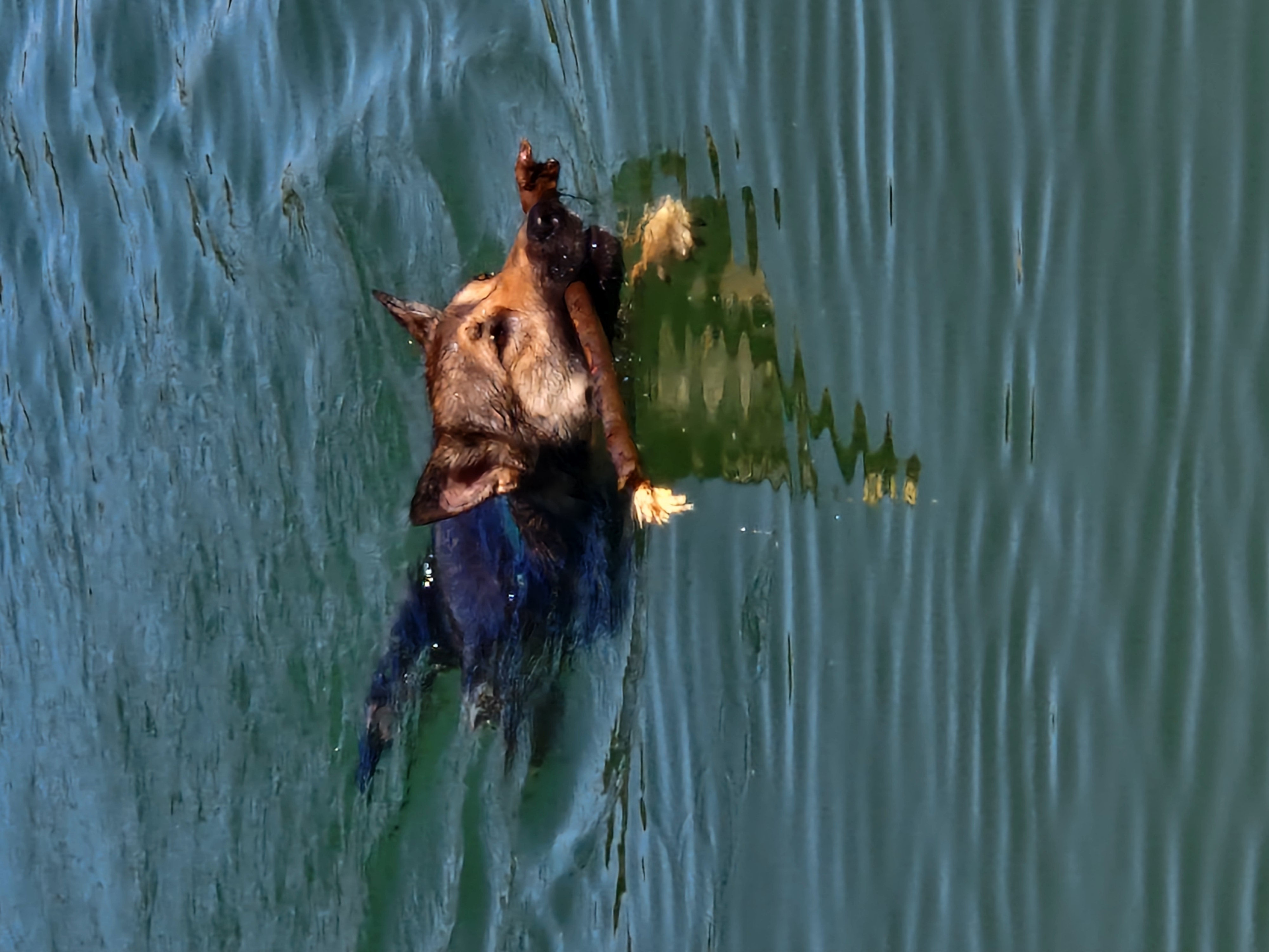 Photo 3 de Balade du bûcher