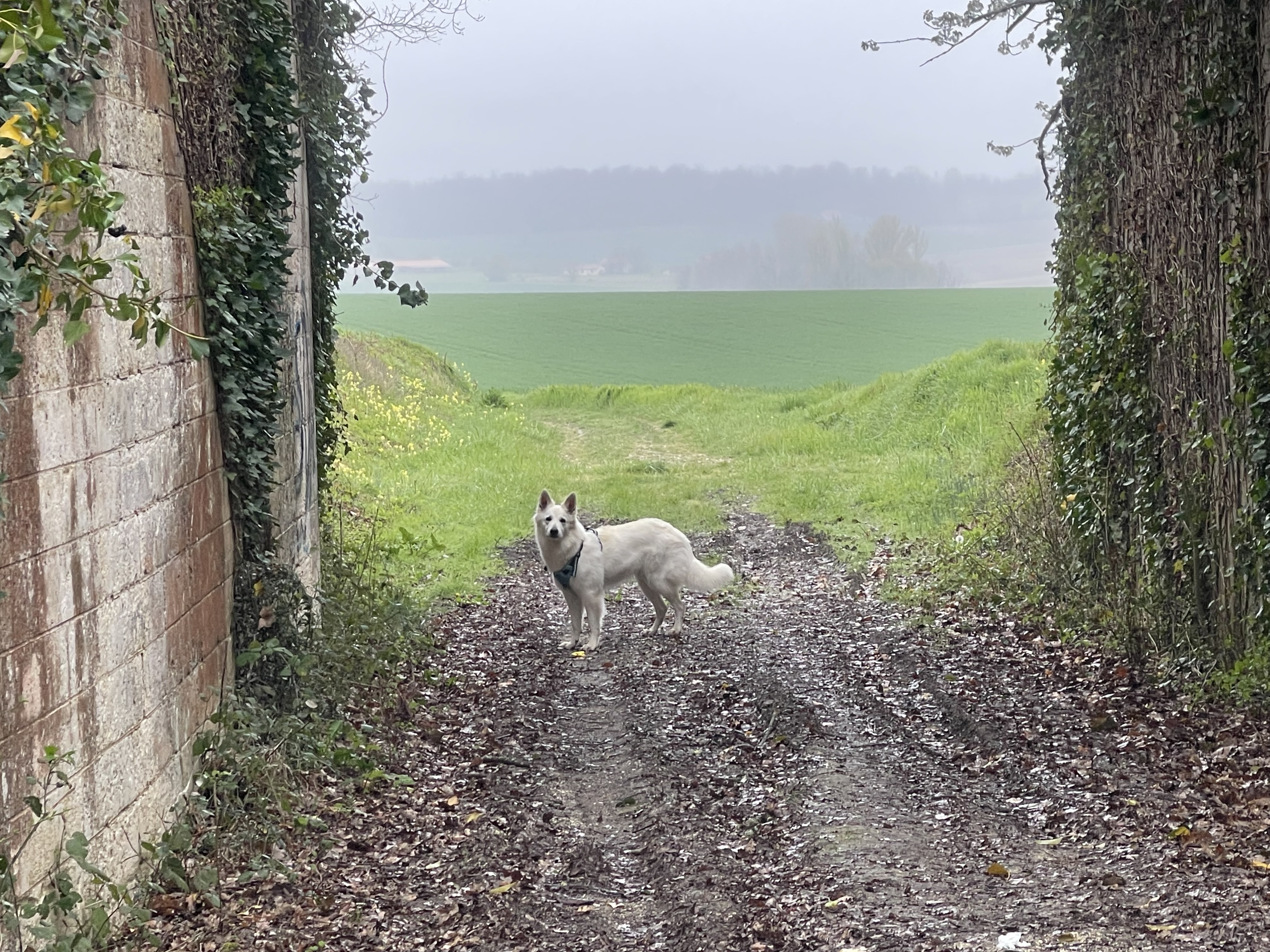 Photo 2 de Petit Tour Lidl Ribérac
